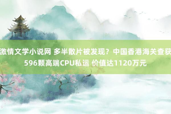 激情文学小说网 多半散片被发现？中国香港海关查获596颗高端CPU私运 价值达1120万元