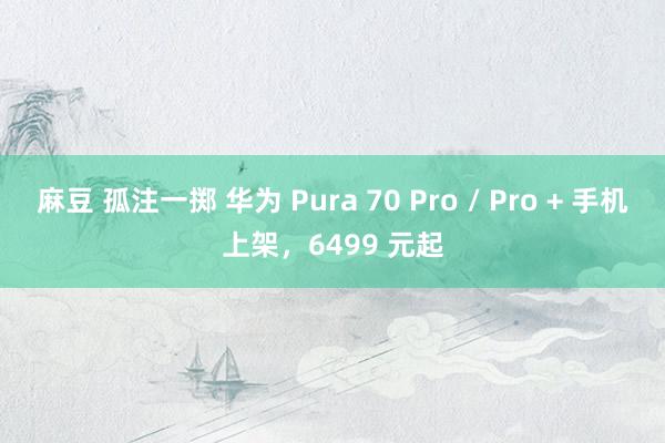 麻豆 孤注一掷 华为 Pura 70 Pro / Pro + 手机上架，6499 元起