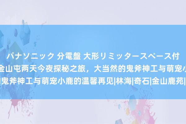 パナソニック 分電盤 大形リミッタースペース付 露出・半埋込両用形 金山屯两天今夜探秘之旅，大当然的鬼斧神工与萌宠小鹿的温馨再见|林海|奇石|金山鹿苑|当然慷慨