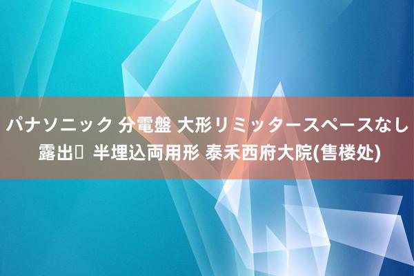 パナソニック 分電盤 大形リミッタースペースなし 露出・半埋込両用形 泰禾西府大院(售楼处)