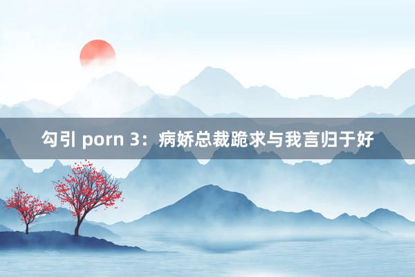 勾引 porn 3：病娇总裁跪求与我言归于好