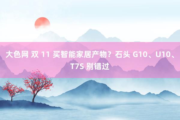 大色网 双 11 买智能家居产物？石头 G10、U10、T7S 别错过